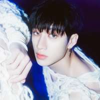 Bang Chan (Christopher Bang)