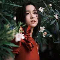 Chen Duling