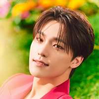 DINO (Lee Chan)