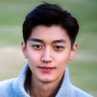 Wang Youjun