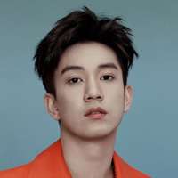 Wang Ziqi