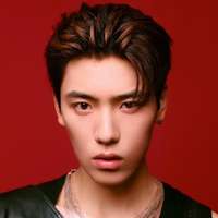 Wang Ziyi (Boogie Wang)