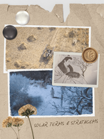 ‘The Vendetta of An’: Storytelling with Solar Terms and Stratagems