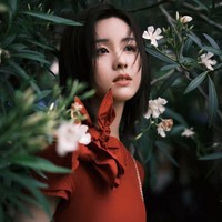 Chen Duling