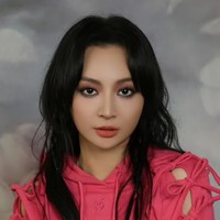 Zhan Wenting (Faye Zhan)